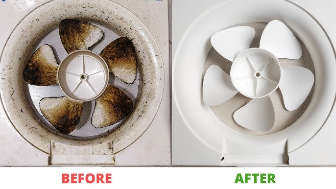 Clean extractor fan blades and housing